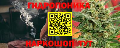 PSILOCYBIN Краснодар