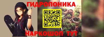PSILOCYBIN Краснодар