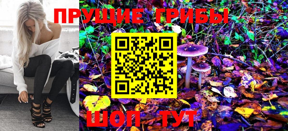 Галлюциногенные грибы Psilocybe Калуга